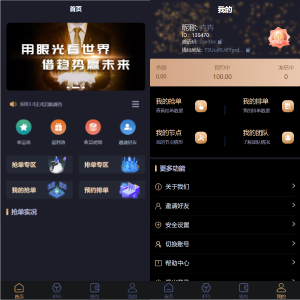IPFS算力矿机/usdt排单众筹系统/usdt理财分红系统