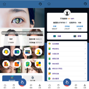 海外刷单抢单系统/韩国刷单/自定义打针/连单卡单